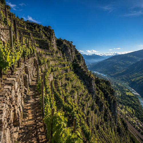 Vignobles Héroïques et Terroirs Extrèmes