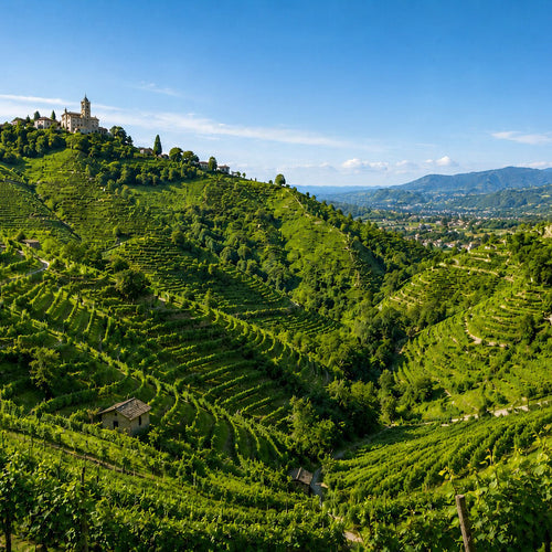 Terroirs UNESCO Remarquables
