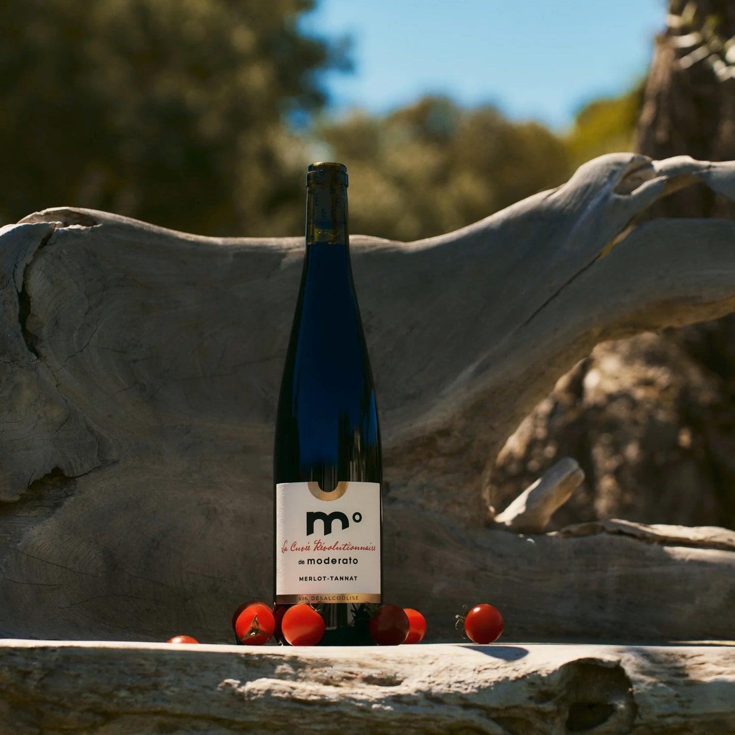 MODERATO° MERLOT-TANNAT — cuvée révolutionnaire