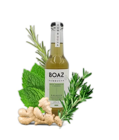 BOAZ KOMBUCHA - ROSEMARY MINT AND GINGER BIO