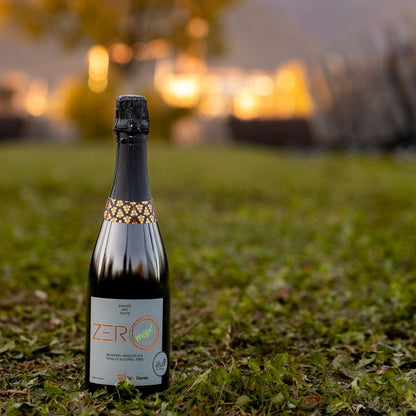 CA' DA ROMAN ZEROMAX 0.0% — piwi bio white estra-dry sparkling wine
