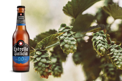ESTRELLA GALICIA — beer 0.0%