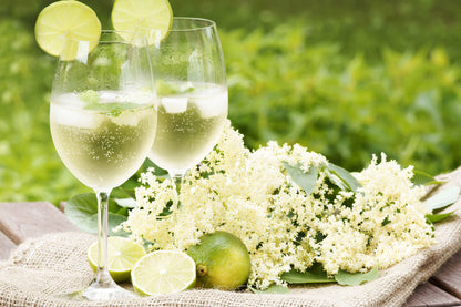 HUG0.0 BY ALTERNATIVA - NON-ALCOHOLIC APERITIF