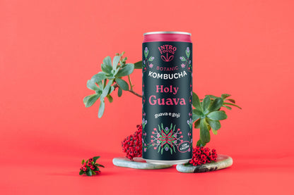 INTRO KOMBUCHA - HOLY GUAVA GOJI HIBISCUS BIO CAN