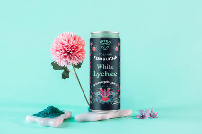 INTRO KOMBUCHA - WHITE LYCHEE AND JASMINE BIO CAN