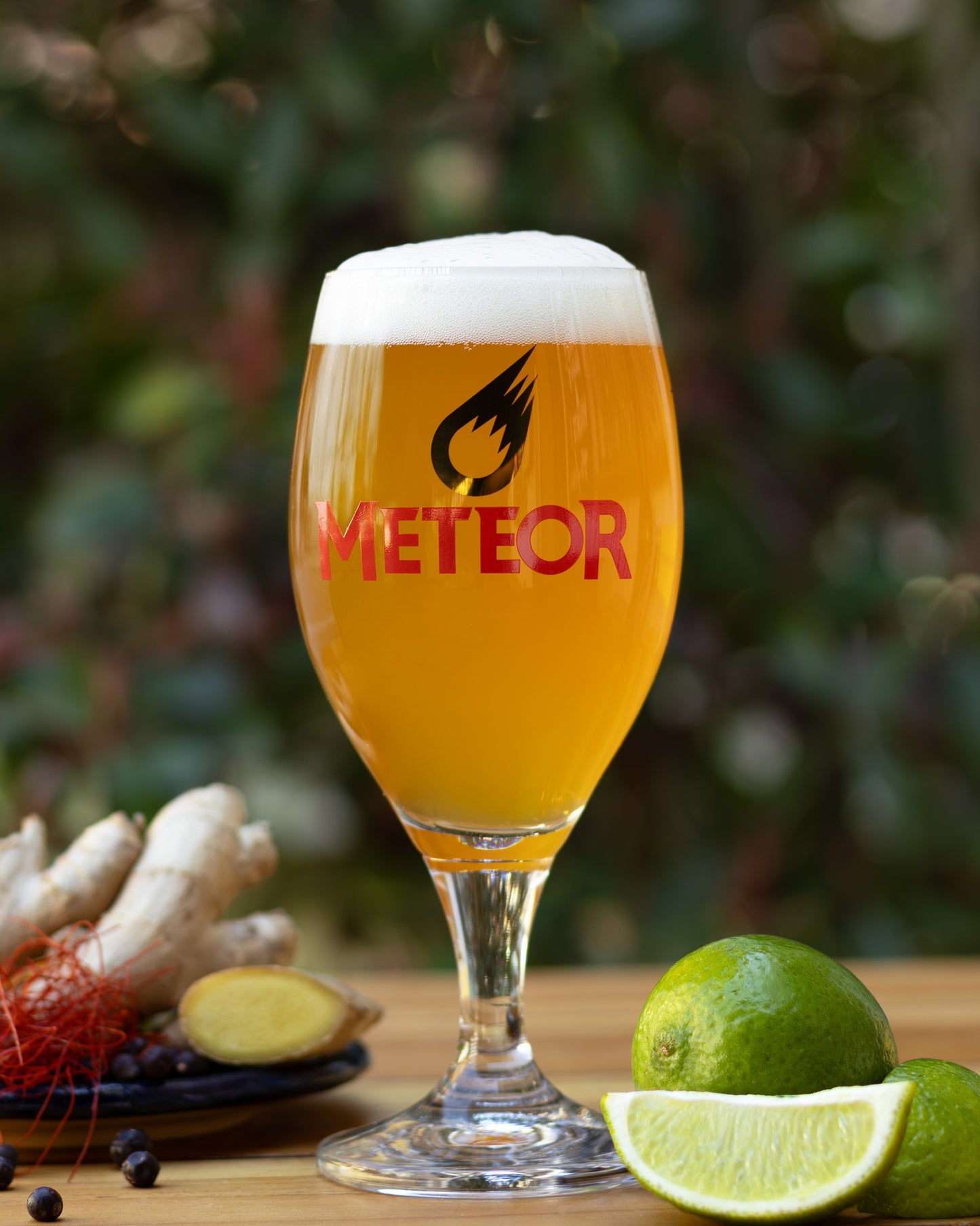 METEOR — ipa 0.0% craft beer