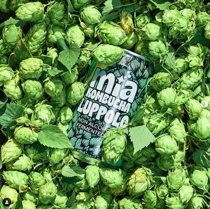 MIA KOMBUCHA - HOPS (LUPPOLO) CAN