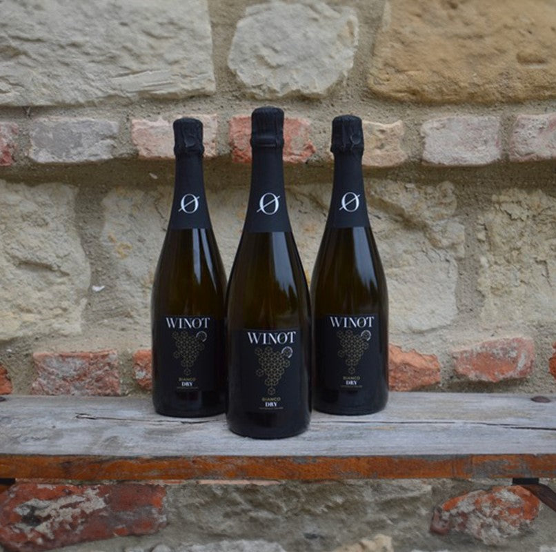 WINOT BIANCO DRY 0.0% — premium white sparkling wine from piedmont