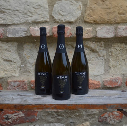 WINOT BIANCO DRY 0.0% — premium white sparkling wine from piedmont